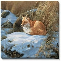 Зимна репозиция - Fox