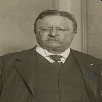 Печат: Полковник Теодор Рузвелт, около 1900 г.