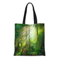 Платно тотална чанта Magical Deep Foggy Forest Park Красива сцена Misty Old Draint