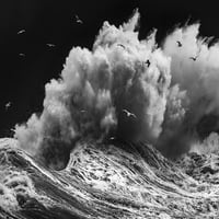 Птици в отпечатъка на бурята - Paolo Lazzarotti