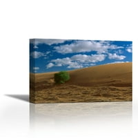 Spinife Grass on Sand Dune, Strzelecki Desert, Australia - Съвременна изящна изкуство Giclee on Canvas Gallery Wrap - Wall Décor - Art Rainting - Готов за окачване