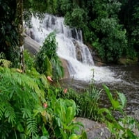 Водопад на тропическите гори, NP на Serra da Bocaina, Parati, Бразилия